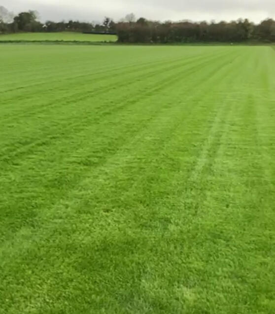 Colm Horkan Memorial Pitch